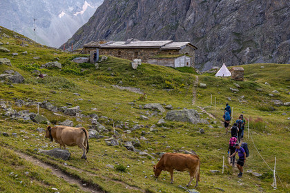 Chalet Refuge de Chamoissière