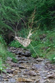 Sentiers Art et Nature Queyras et Val Varaita, Polska
