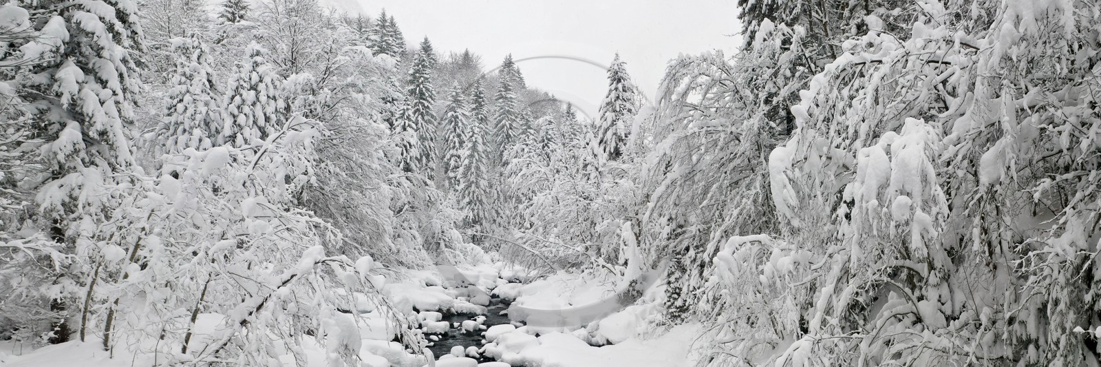 Réserve naturelle de Sixt-Passy, Le Giffre, Sixt-Fer-à-Cheval