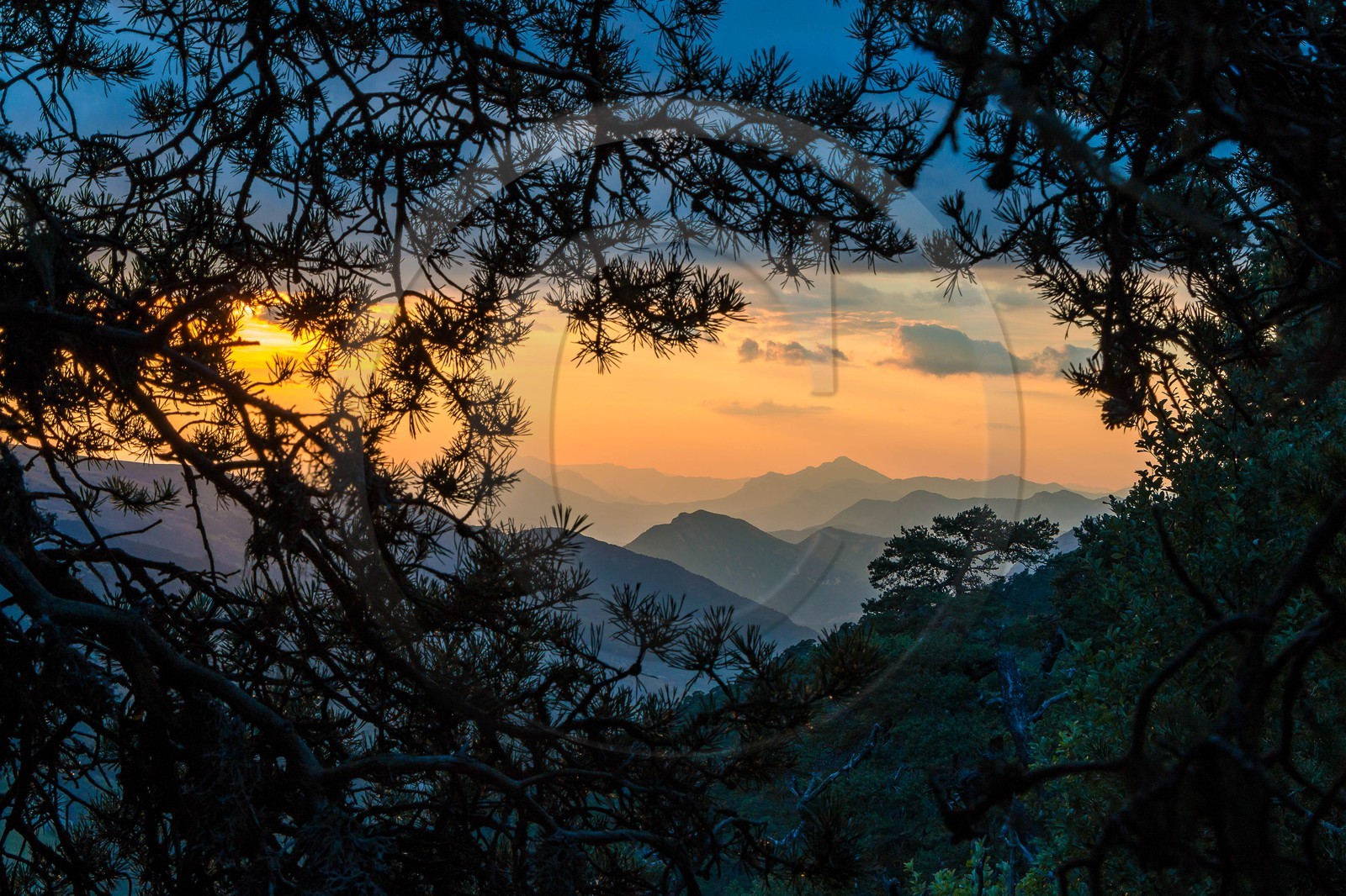 Les Monges, vallon de Reynier