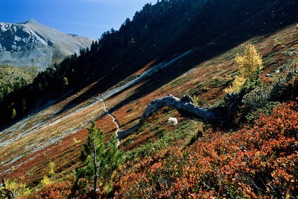 Sentier du col Fromage