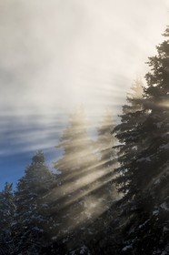 ENS de l'Isère, Plateau de la Molière et du Sornin