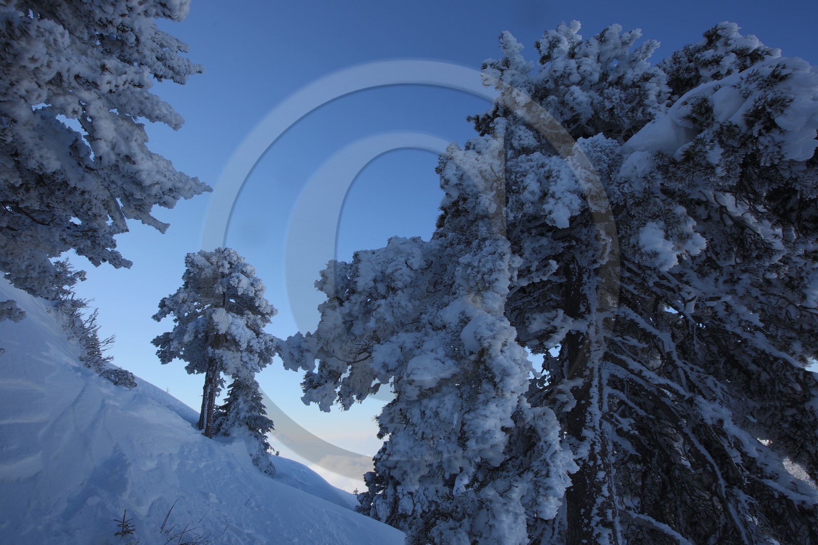 Espace naturel sensible de l'Isère, Col du Coq