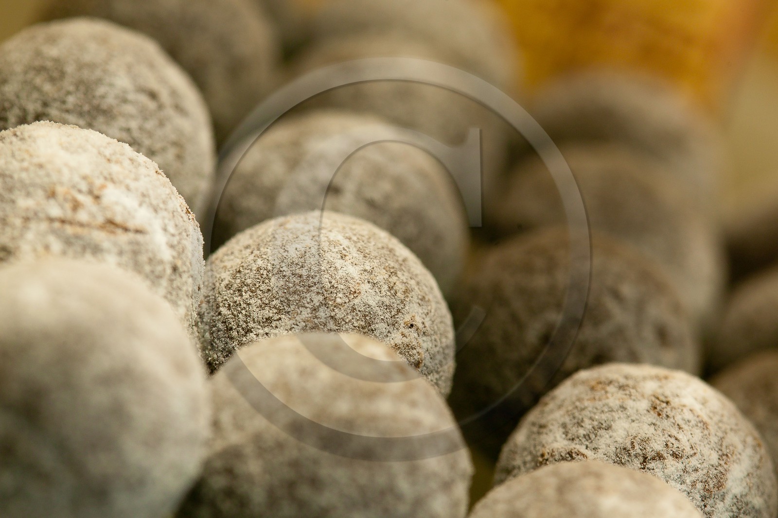 Luc Eyriey, Maître chocolatier à Embrun