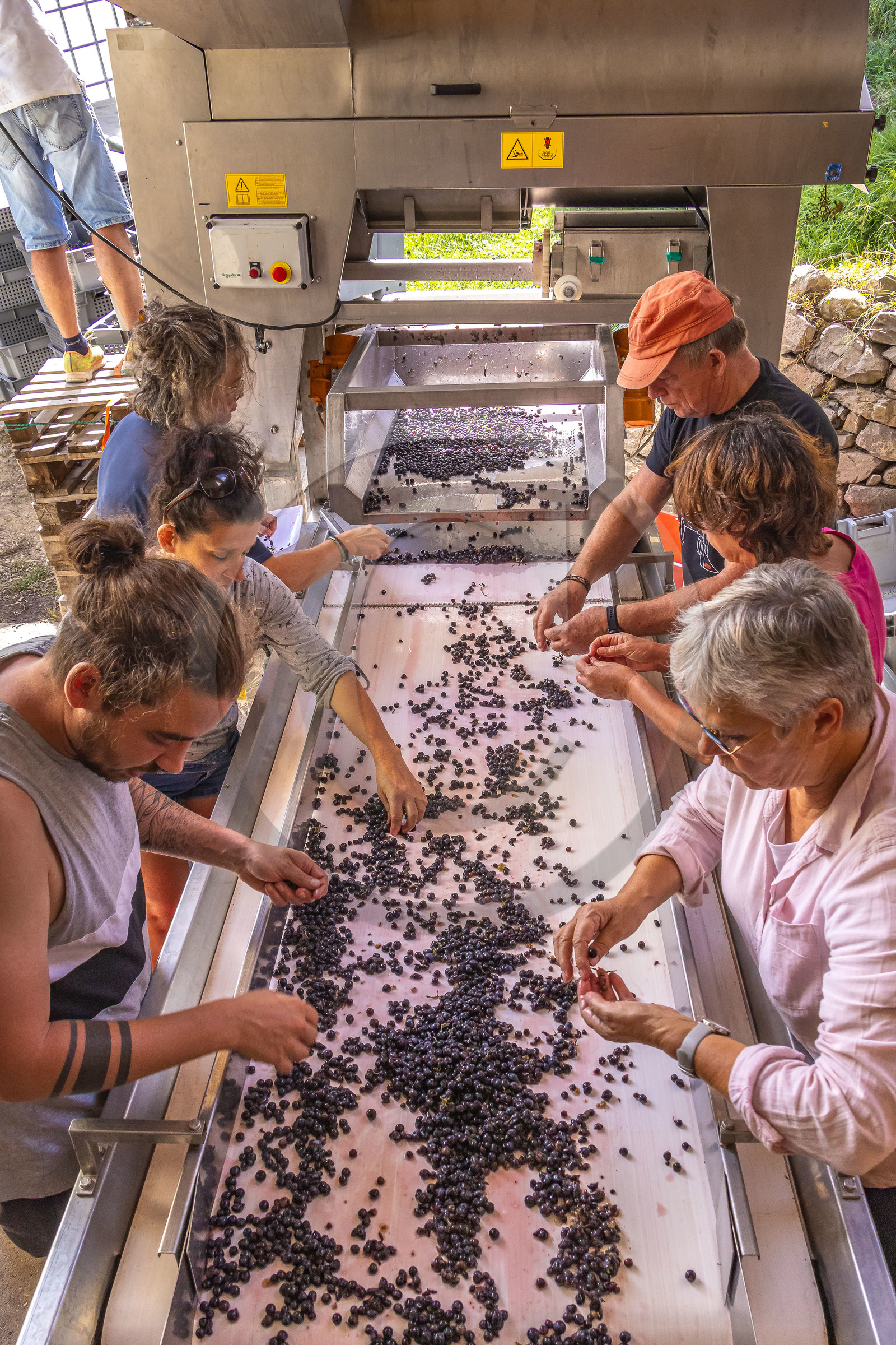 Domaine du Mont Guillaume