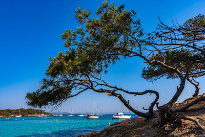 Parc national de Port-Cros