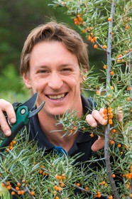 David Viveau agriculteur, producteur de baies d'argousier