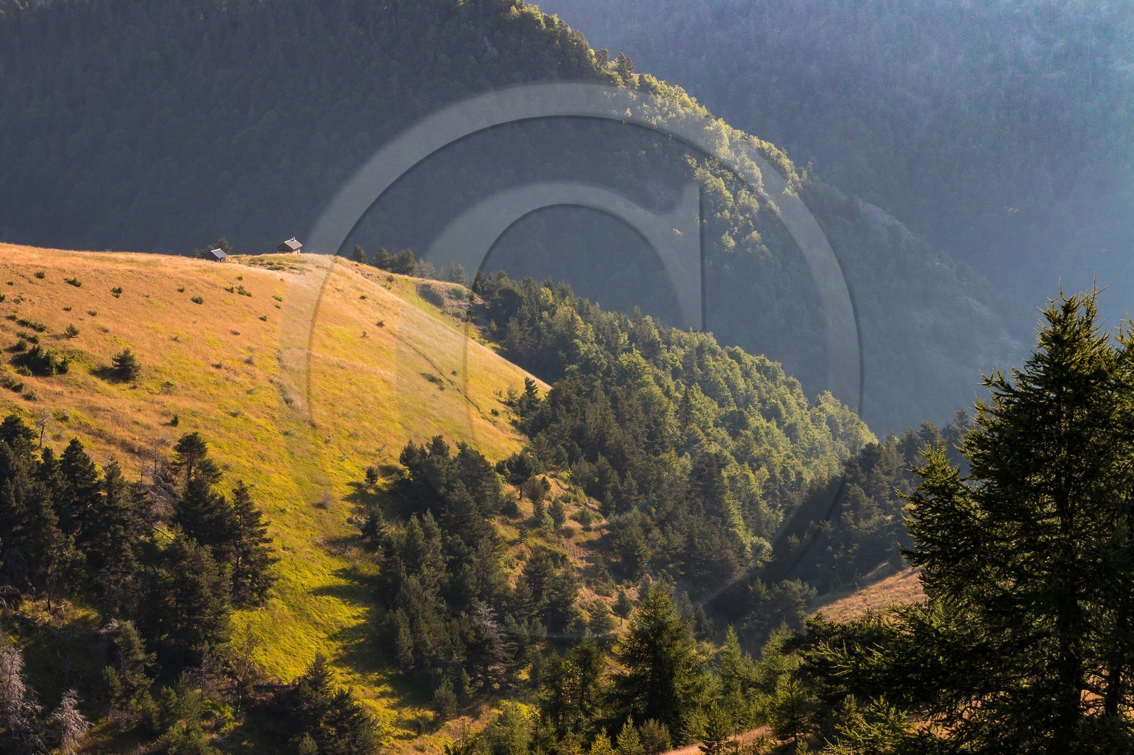 Alpage du Gau, cabane de Gau