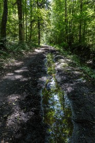 ENS de l'Isère, Vieille morte de Bourg d'Oisans