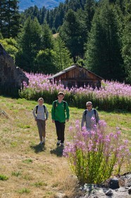 Randonnée montagne