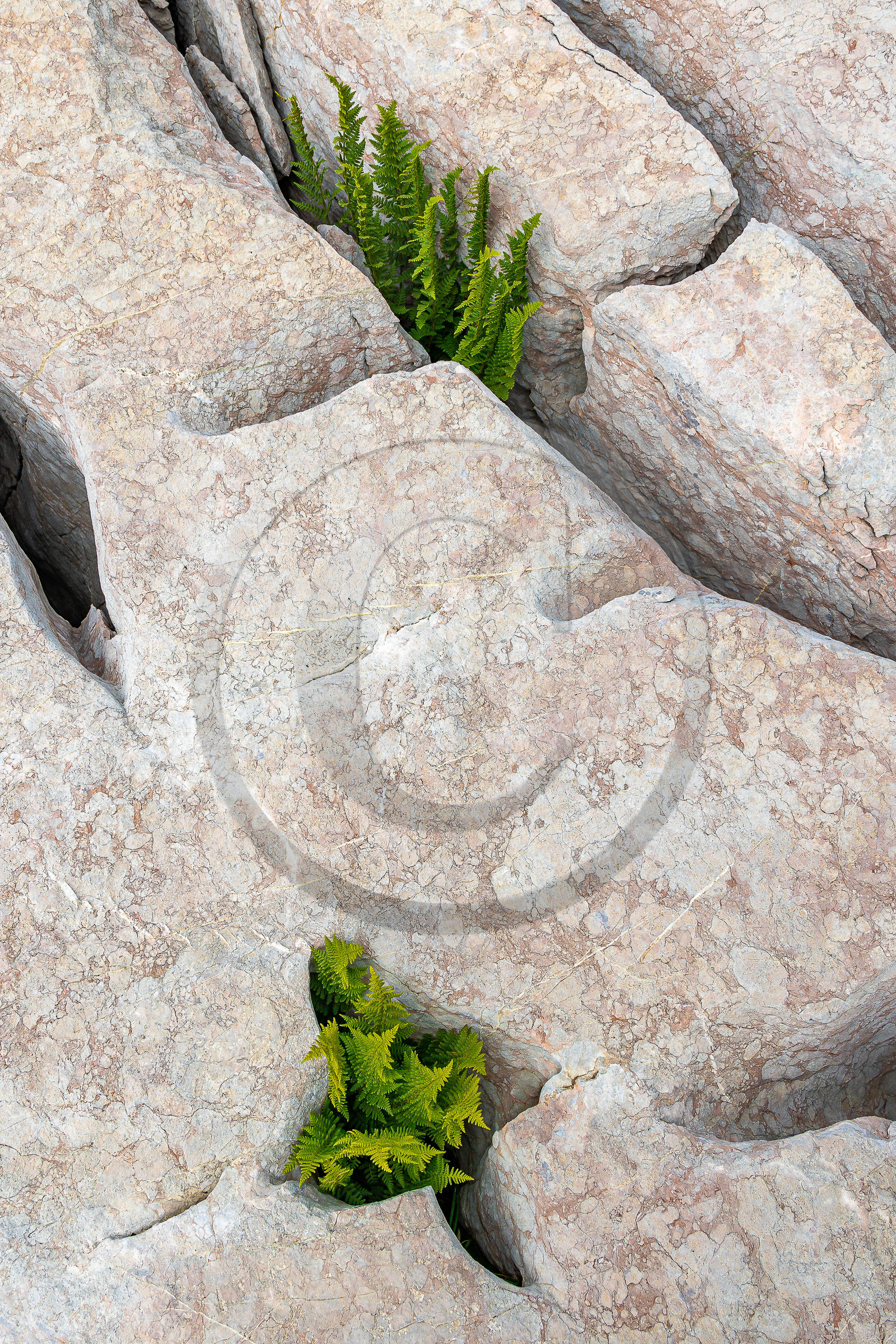 Les Oucanes de Chabrières