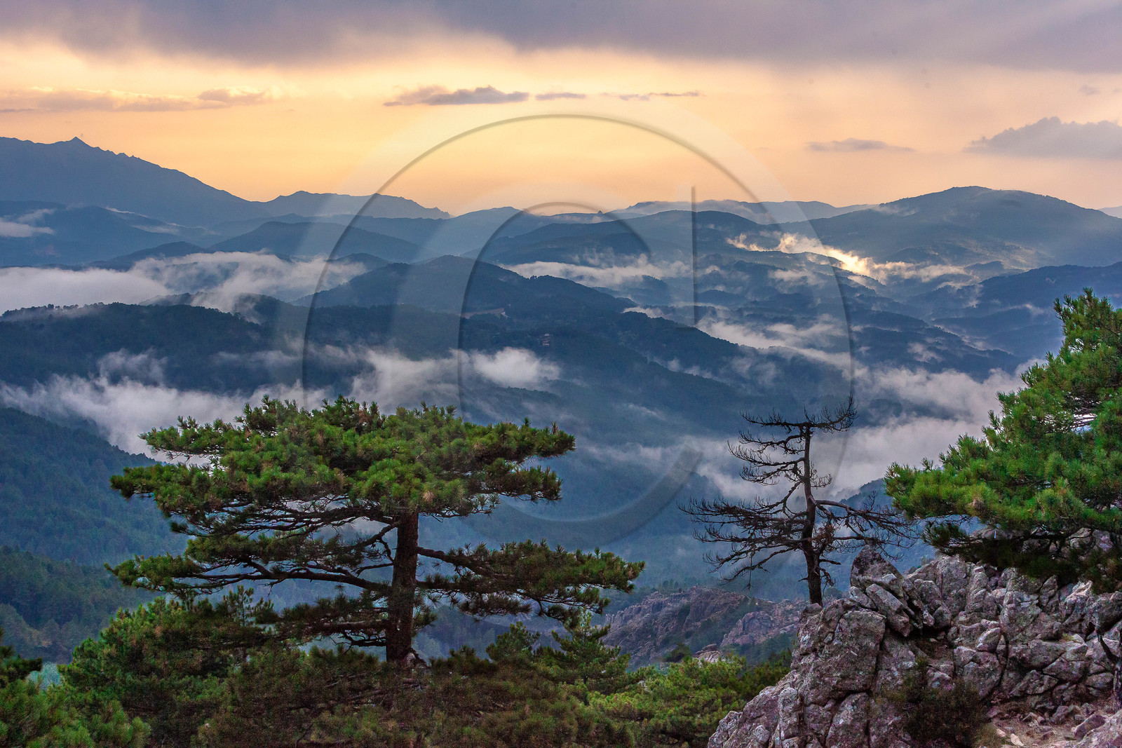 Les Aiguilles de Bavella (forchi di Bavedda )