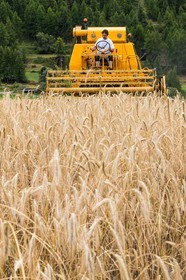Ceillac, Christophe Gauthier, Exploitant agricole