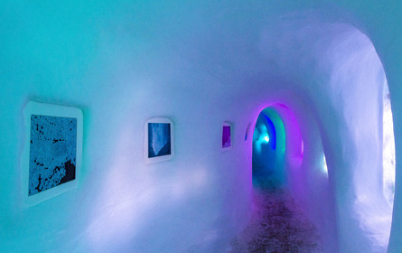 Igloo Pelvoux 2015