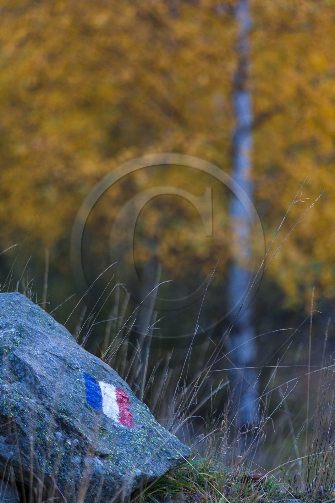 Vallée de la Bonne, village Le Désert