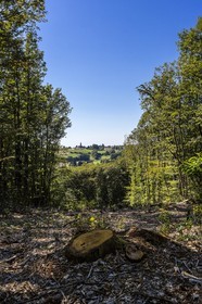ENS de l'Isère, Etang des Béroudières