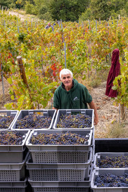 Domaine du Mont Guillaume