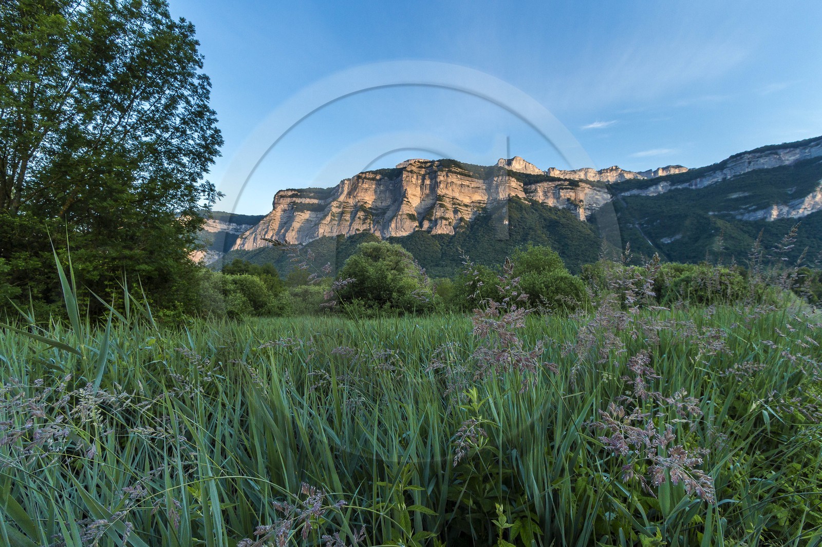 ENS de l'Isère, Marais de Montfort