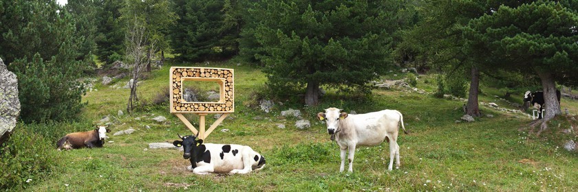 Sentiers Art et Nature Queyras et Val Varaita, Jean-François Marc