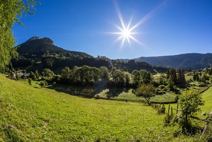 ENS de l'Isère, Marais des Sagnes