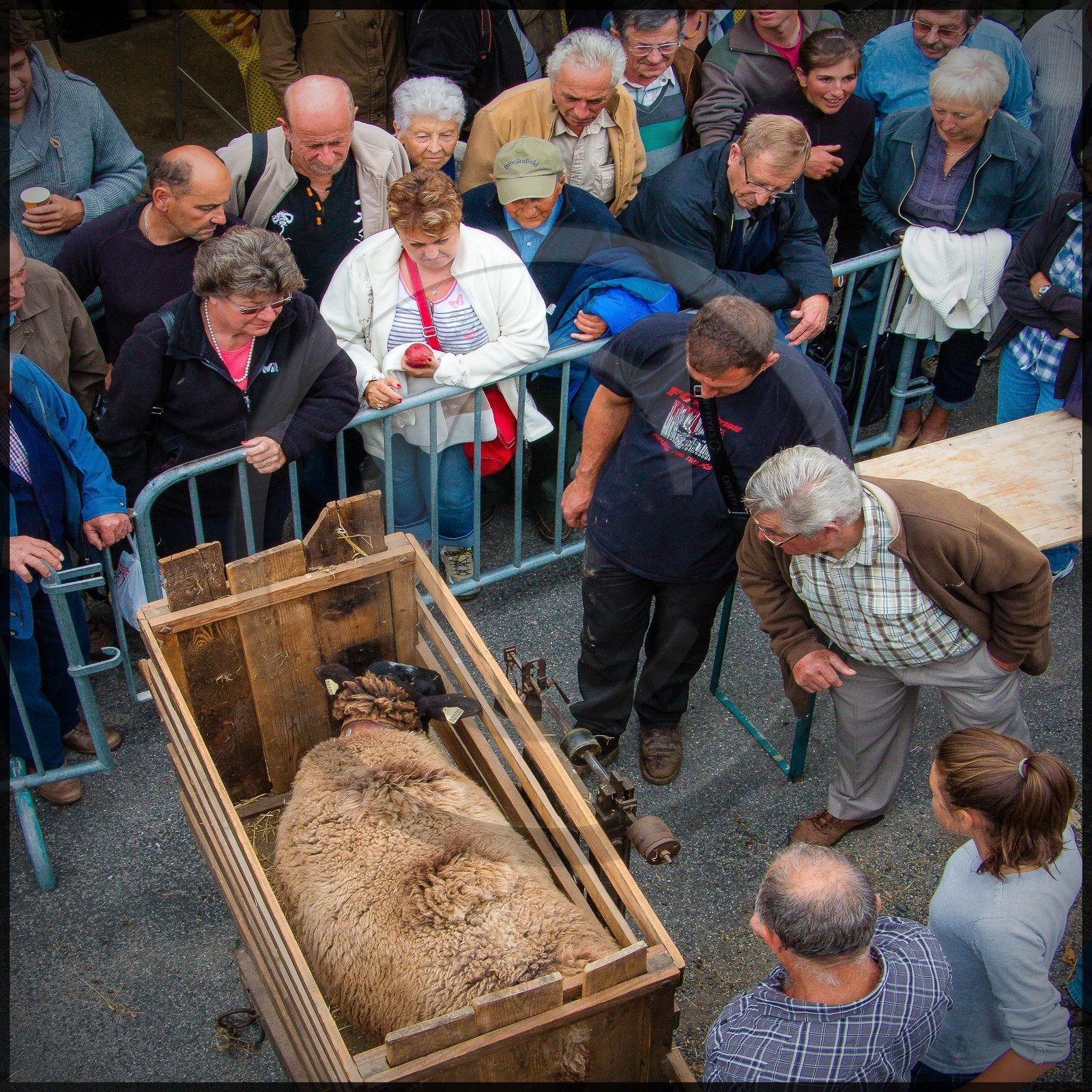 Vallée de Champoléon, Les Borels, foire au tardon