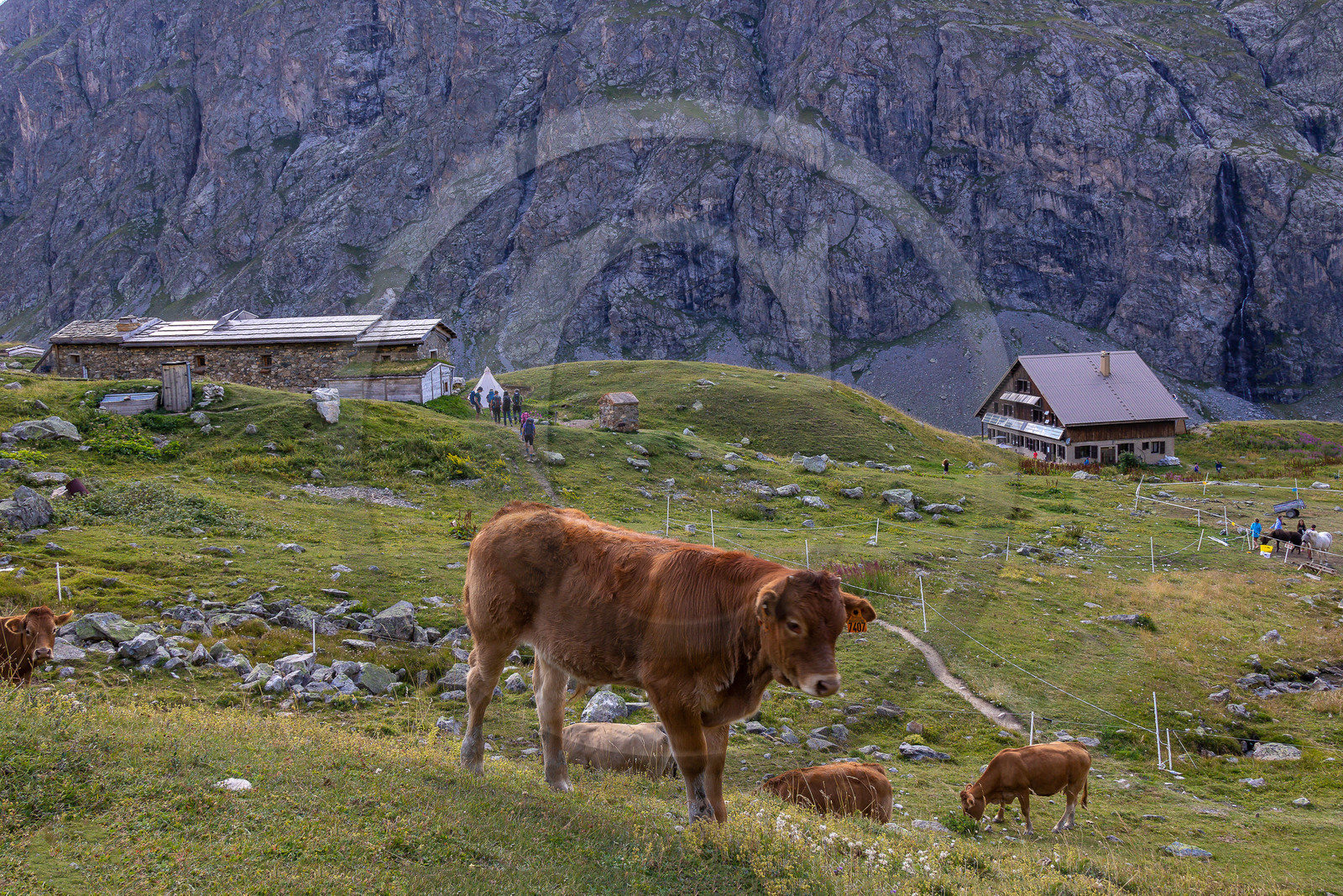Chalet Refuge de Chamoissière et Refuge de l'Alpe de Villar d'Arène