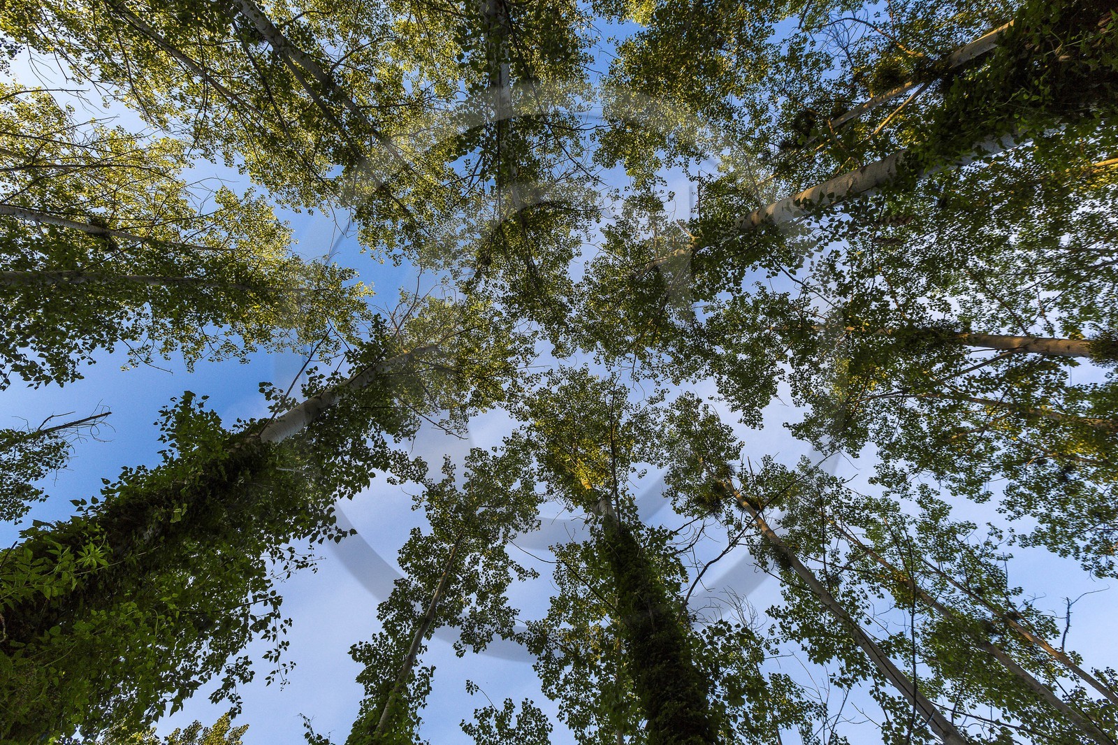 ENS de l'Isère, , le méandre des Oves