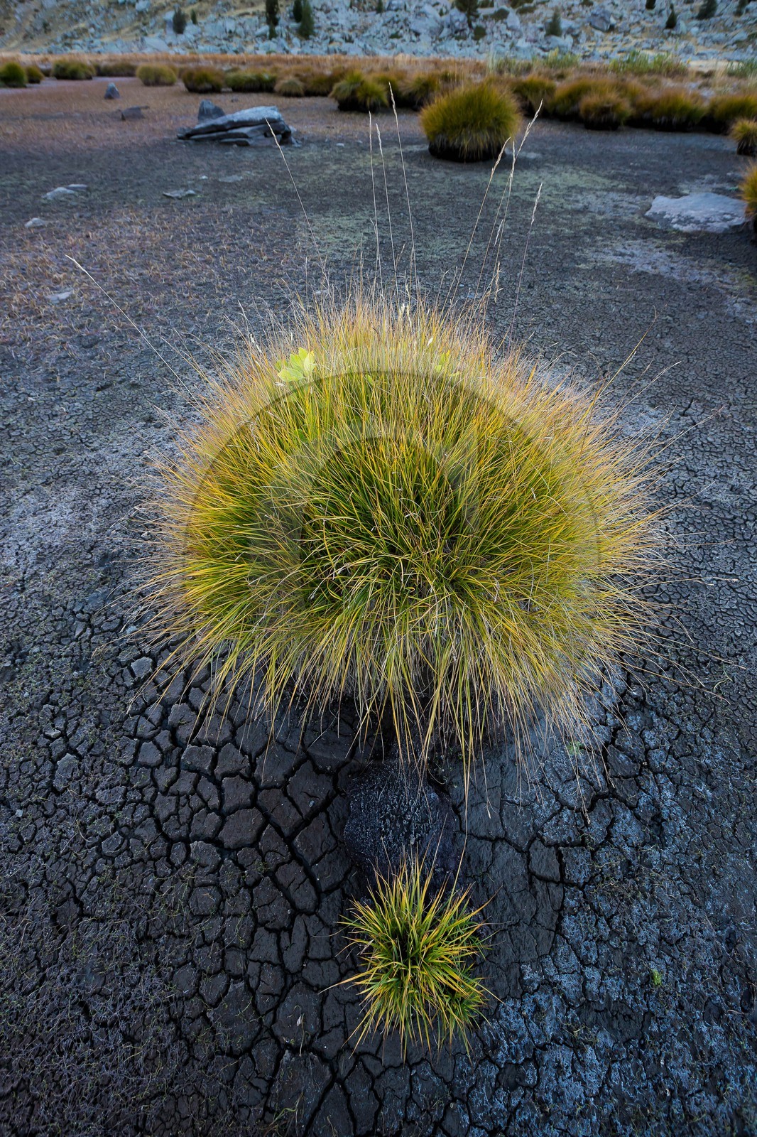 Vallon du Laverq, lac et tourbière Les Eaux-Tortes