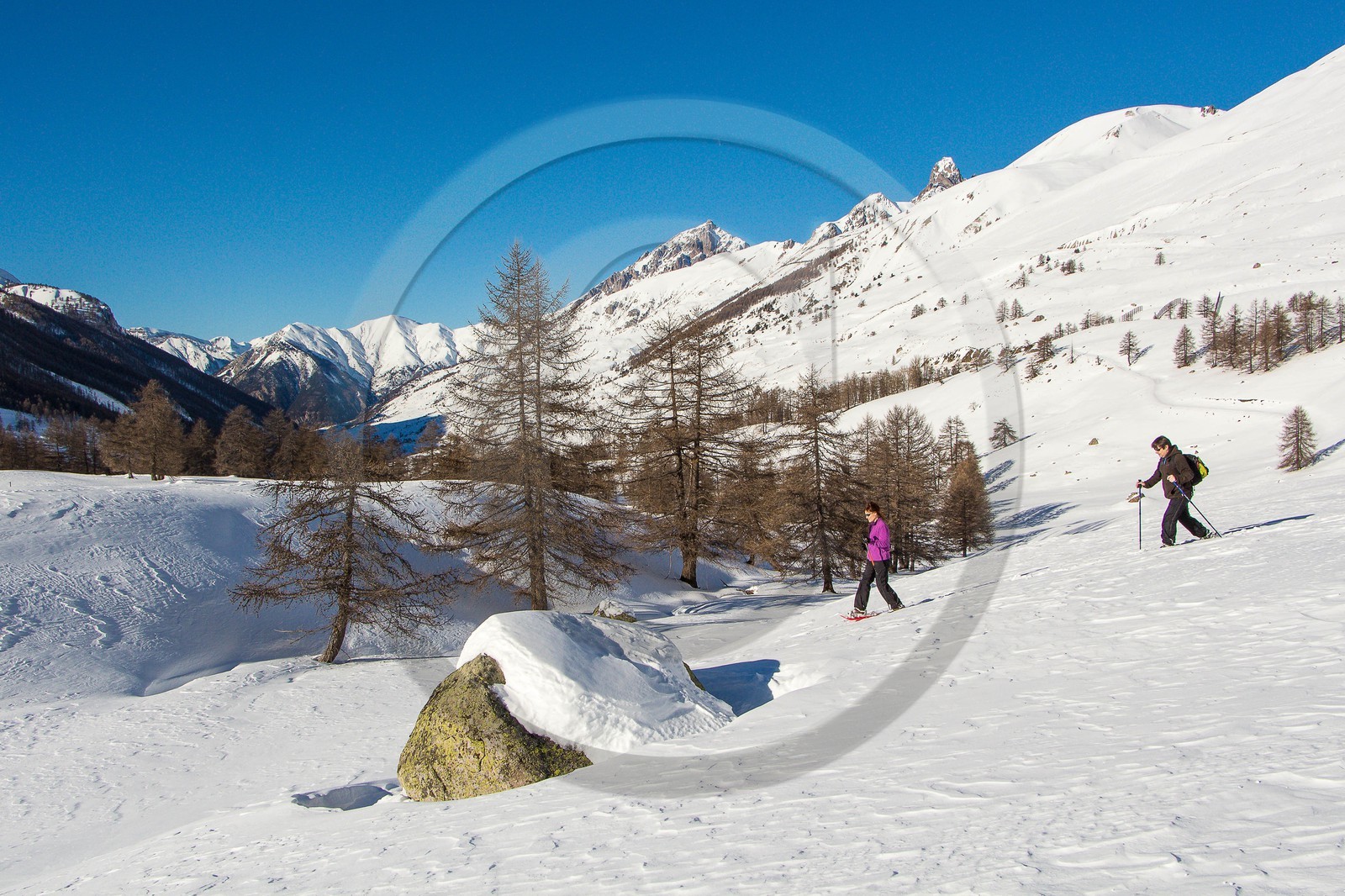 Col de Larche, vallon du lauzanier, randonnée raquettes