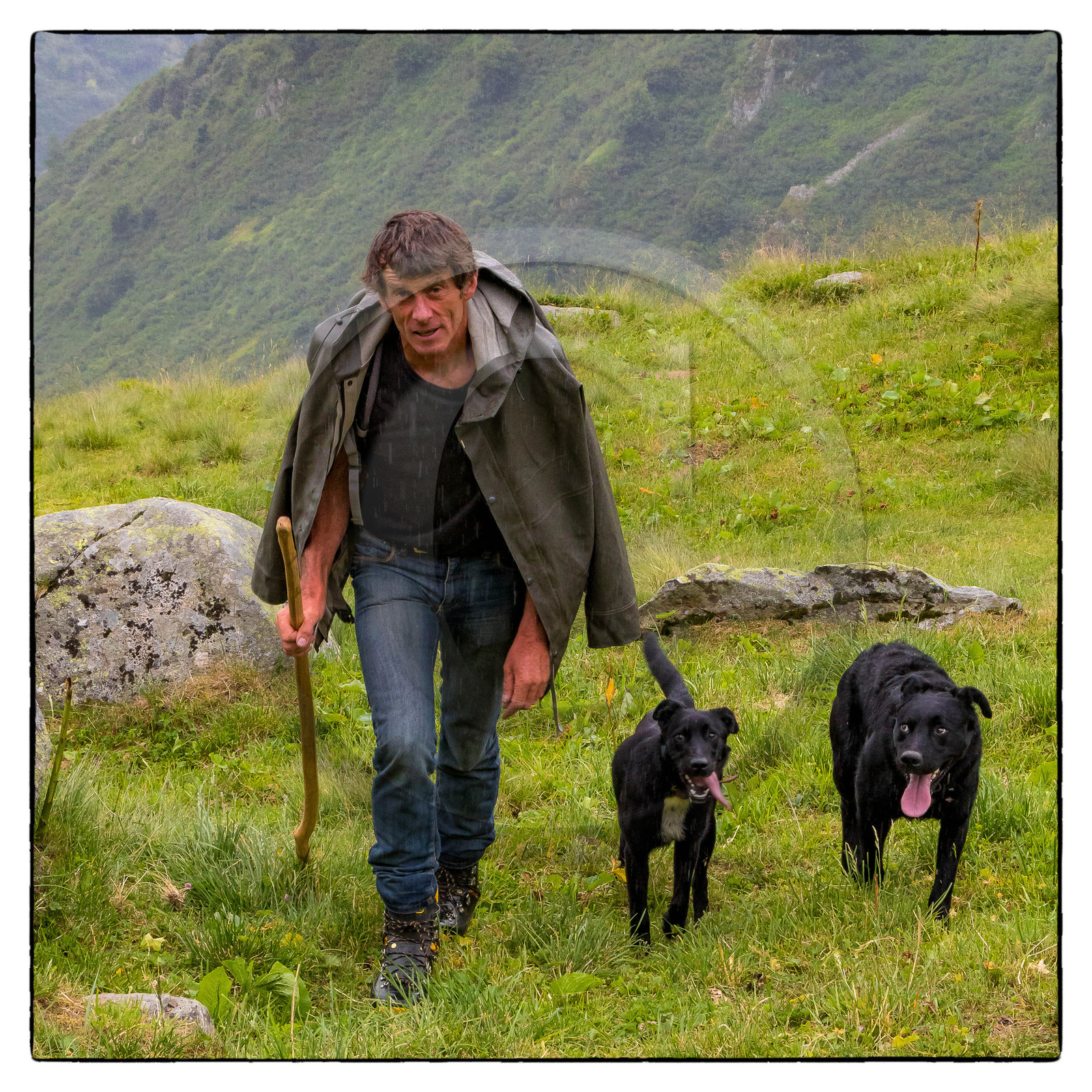 Alpage de la combe des Plans