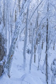 ENS de l'Isère, Les Ecouges