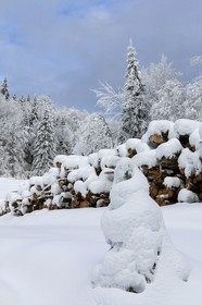 ENS de l'Isère, Les Ecouges