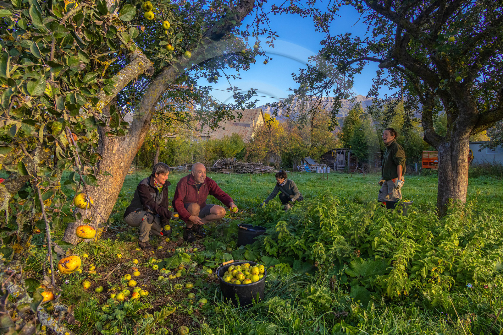 Etablissement Gayral, producteur de jus