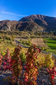 Valbonnais, Les Angelas, les vignes de Blanc-Marquis