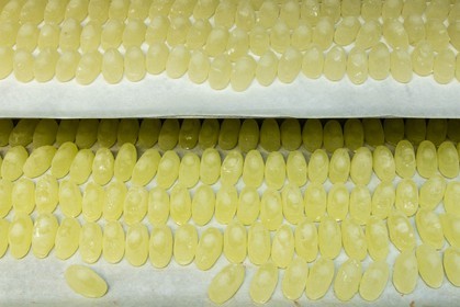 Vallée du Champsaur & Valgaudemar, Thierry SIAT Compagnon-chocolatier-patissier
