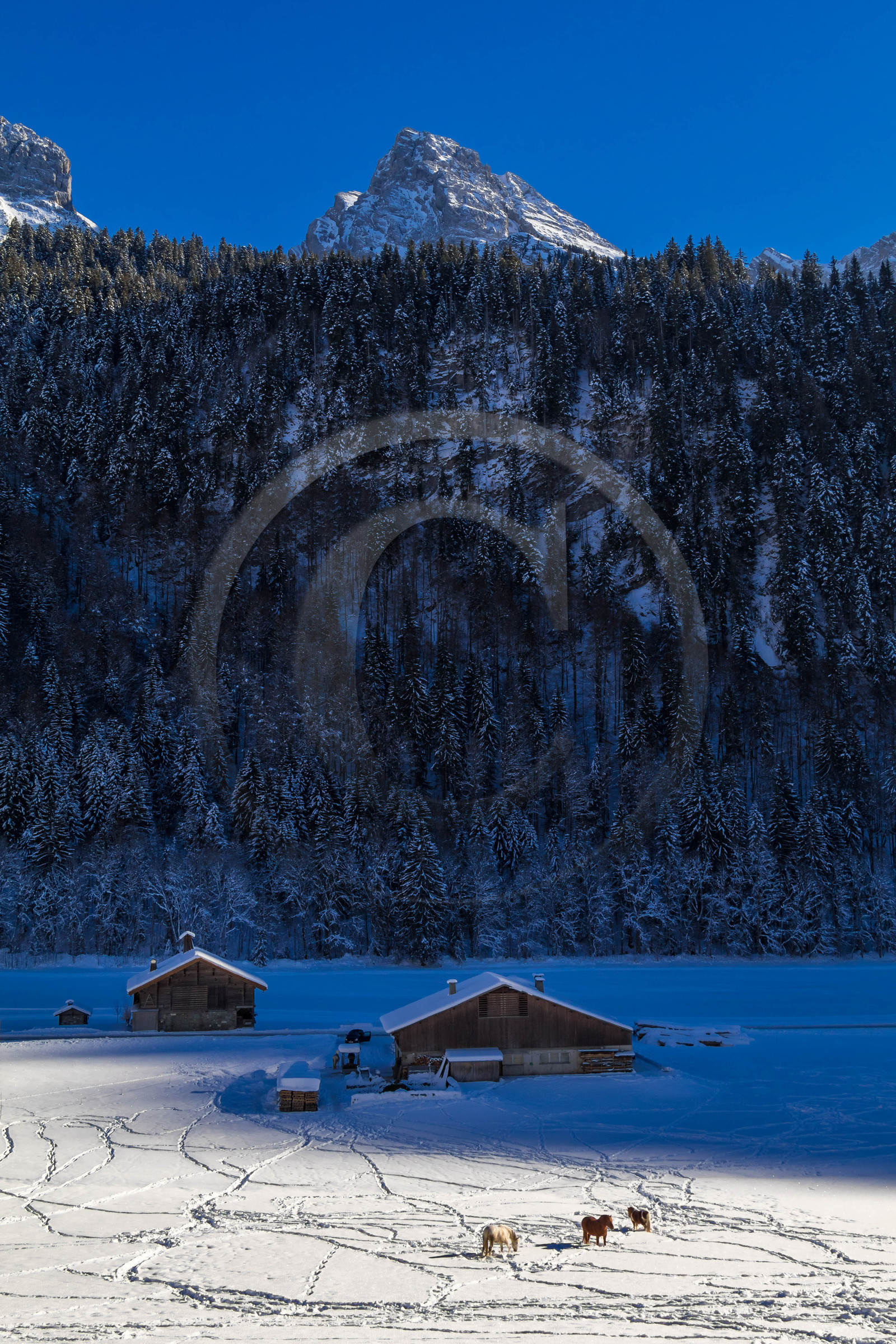 Le Grand Bornand, Les Plans