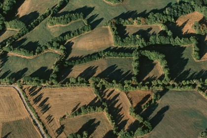 Vallée du Champsaur, le bocage