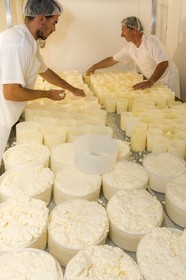 Vallée du Champsaur, fromagerie Ebrard