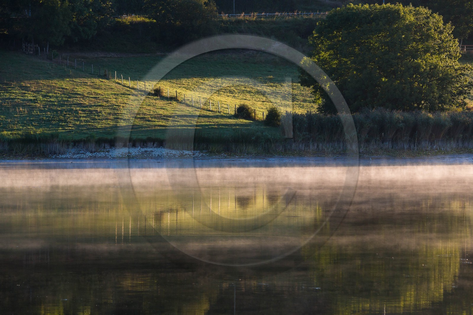 ENS de l'Isère, étang de Montjoux
