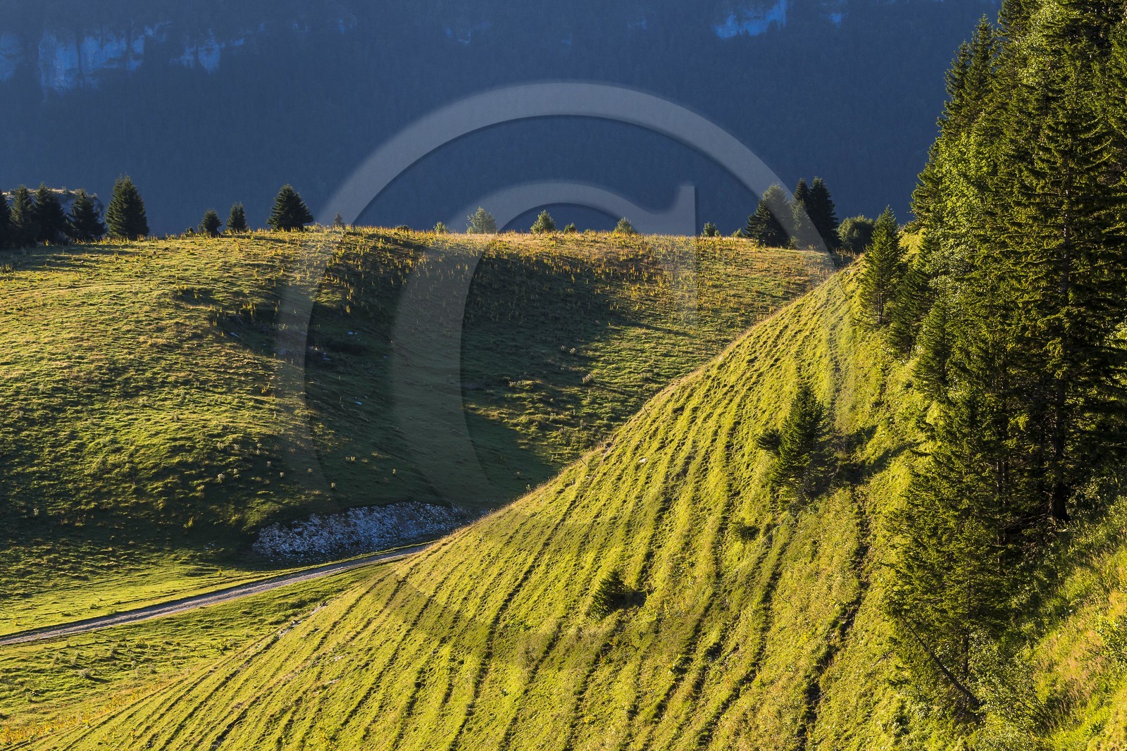 ENS de l'Isère, Plateau de la Molière et du Sornin