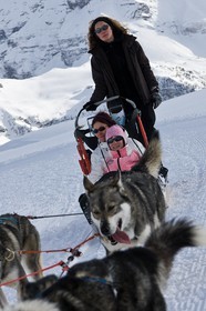 Chiens d'attelage