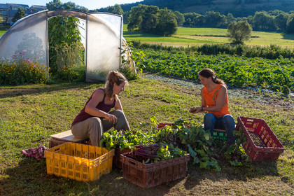 LéguMontagne, Sylvie Jaussaud et  Bertille Gieu, Maraîchères bio