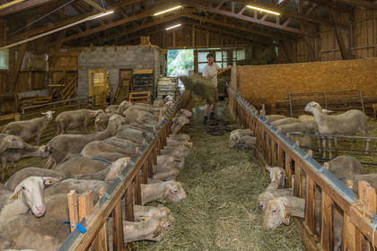 Bergerie de la Lignarre