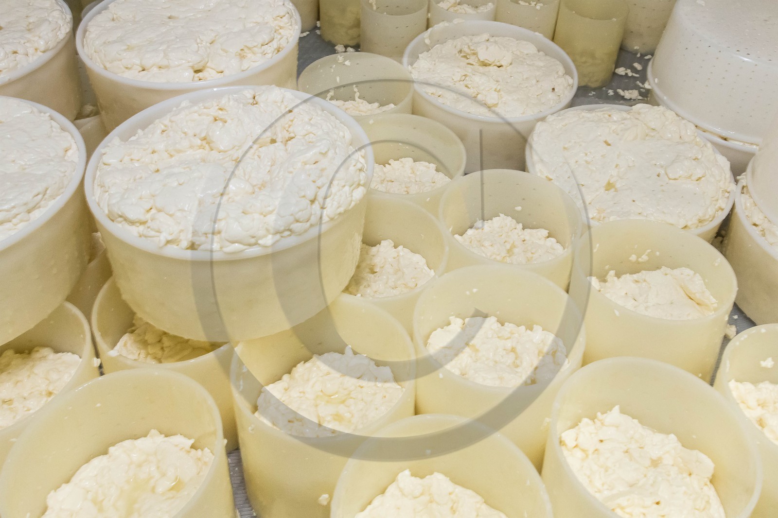 Vallée du Champsaur, fromagerie Ebrard