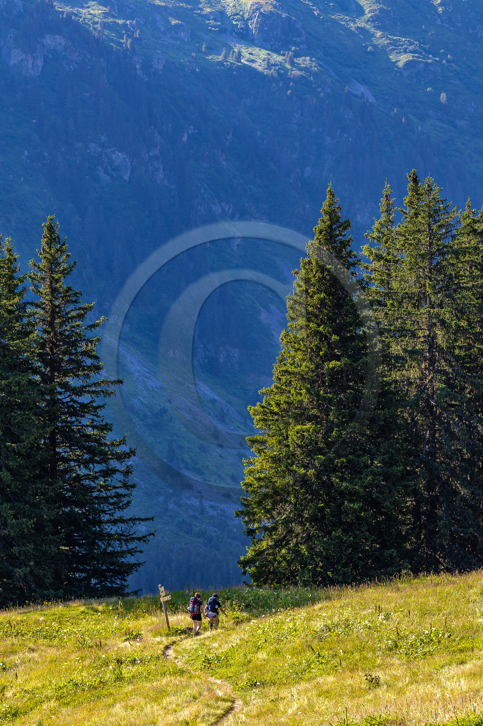 Val Montjoie, randonnée pedestre