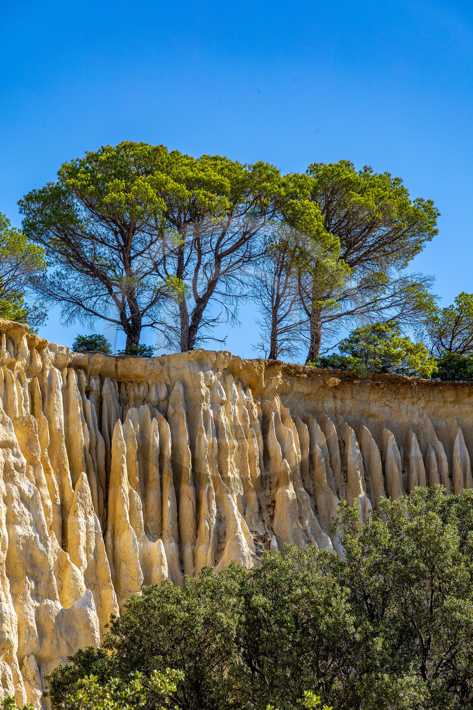 Orgues d'Ille-sur-Têt