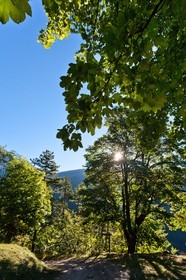 Forêt domaniale des Sauvas