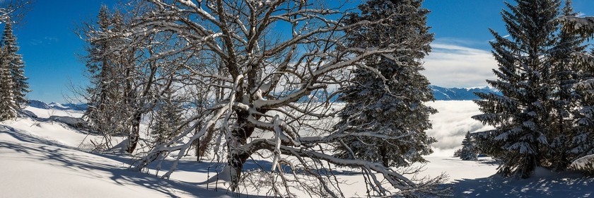ENS de l'Isère, Plateau de la Molière et du Sornin
