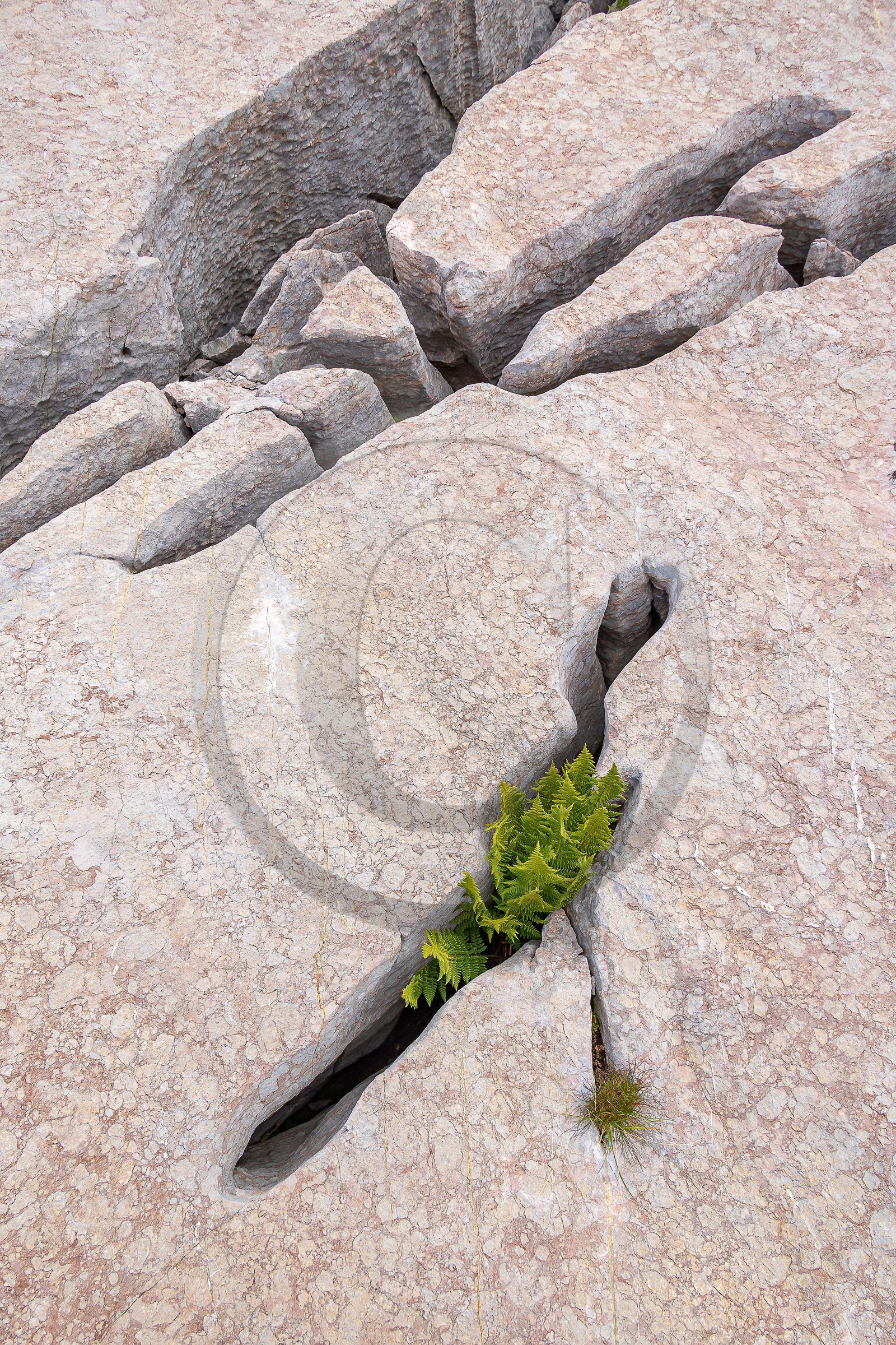 Les Oucanes de Chabrières