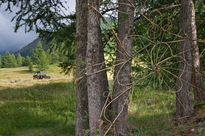 Claire Boucl, Sentiers Art et Nature Queyras et Val Varaita